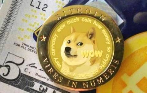 6个月内，狗币上涨了近250倍，你认为狗币是“骗局”吗？