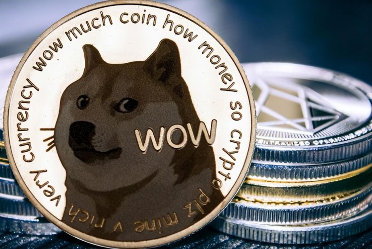 狗币大幅上涨预期：100% DOGE 价格可能会暴涨！