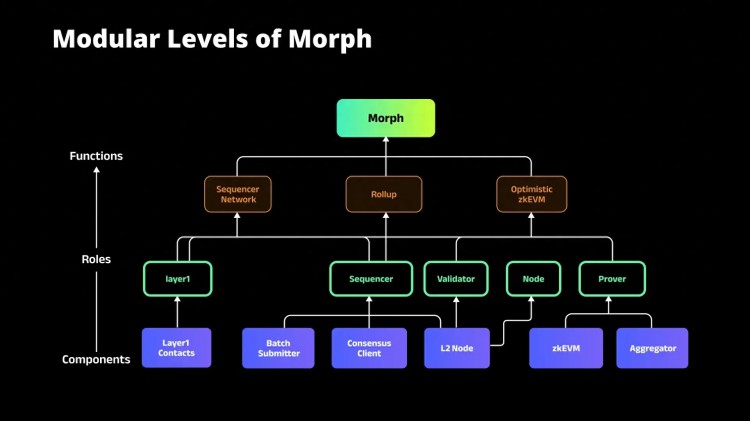 阅读Morph：以太坊L2是第一个响应式有效证明